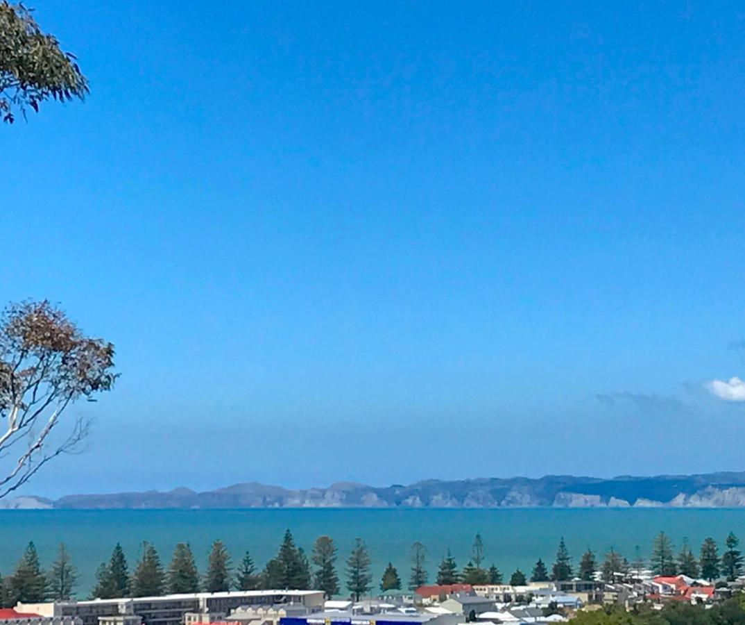 Appartamento The Loft On Colenso Napier Esterno foto